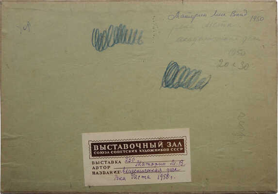 Маторин Михаил Владимирович. Академическая дача. Река Мста 